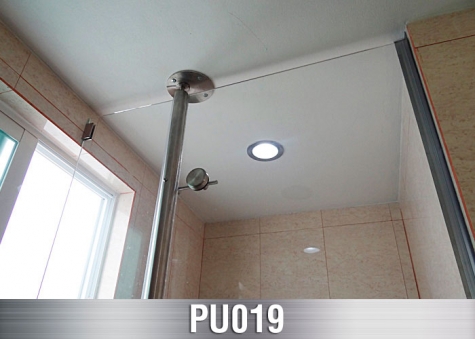 PU019